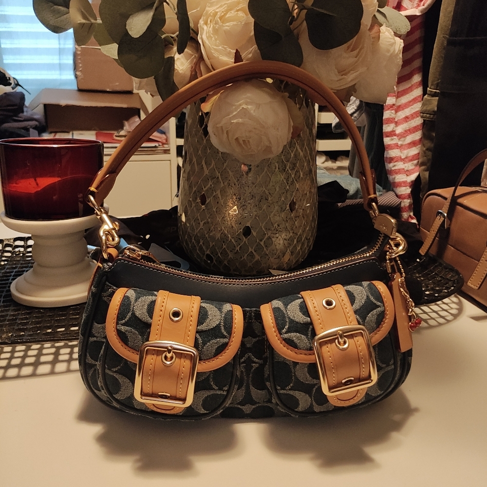 Coach Ashton Bag